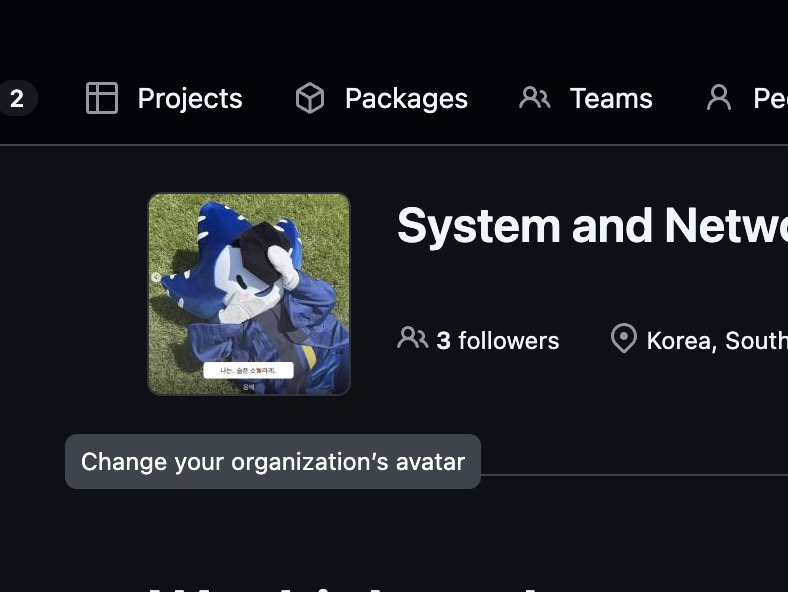 snsec-net GitHub organization page