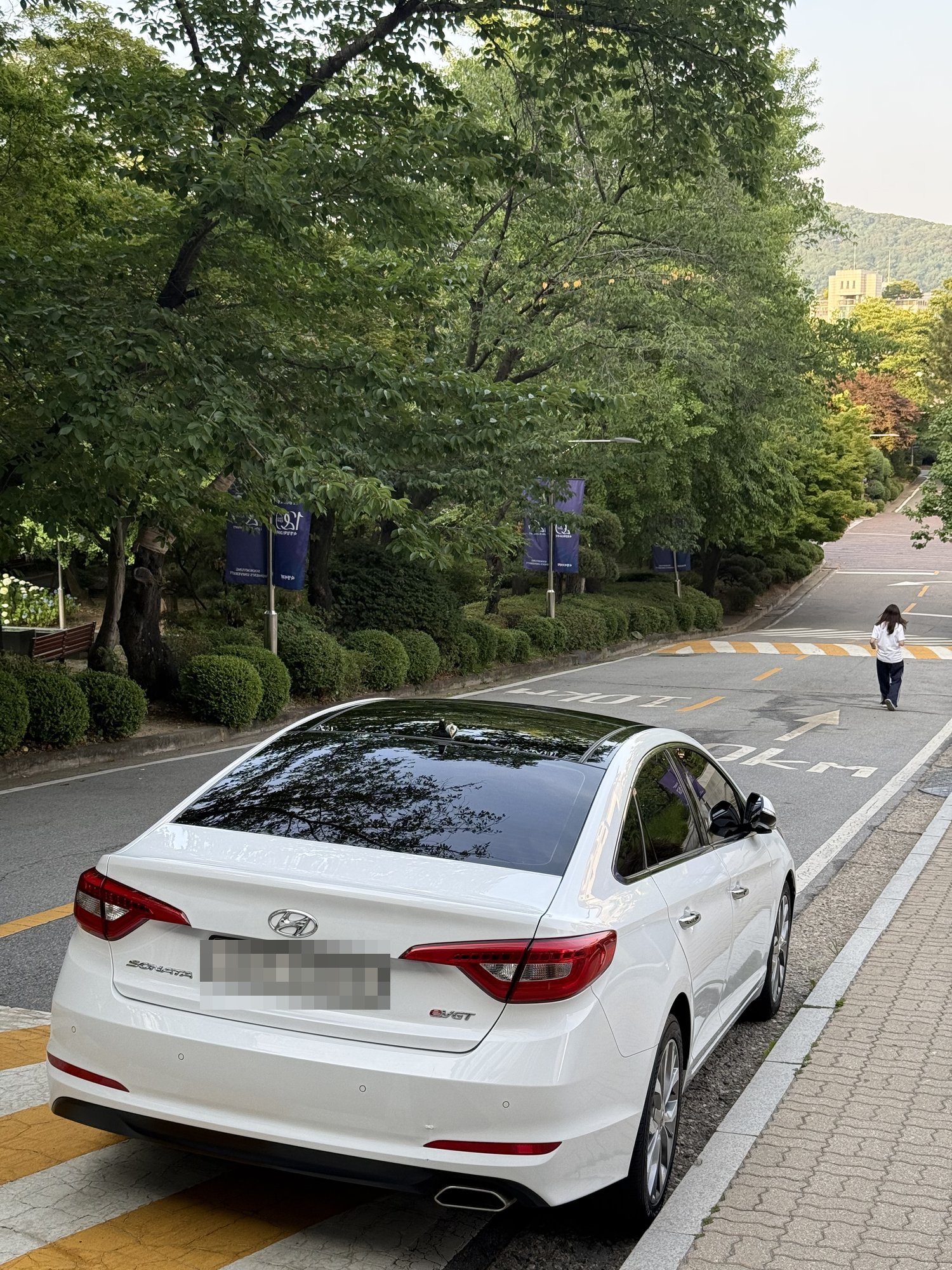 A white 2017 Hyundai LF Sonata e-VGT parked on the Sookmyung Women's University campus